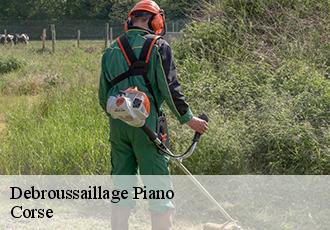 Debroussaillage  piano-20215 Corse