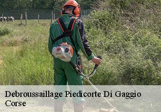 Debroussaillage piedicorte-di-gaggio-20251 Corse
