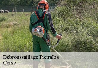 Debroussaillage  pietralba-20218 Corse