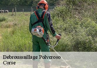 Debroussaillage polveroso-20229 Corse