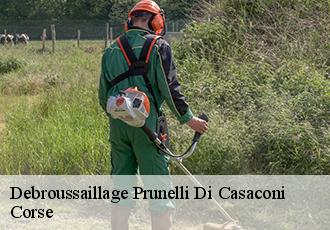 Debroussaillage prunelli-di-casaconi-20290 Corse