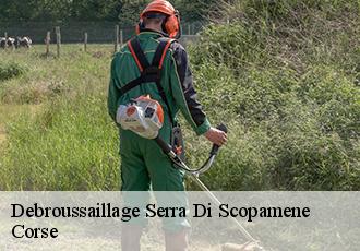 Debroussaillage serra-di-scopamene-20127 Corse