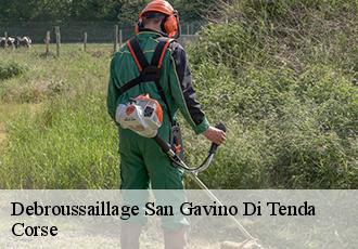 Debroussaillage san-gavino-di-tenda-20246 Corse