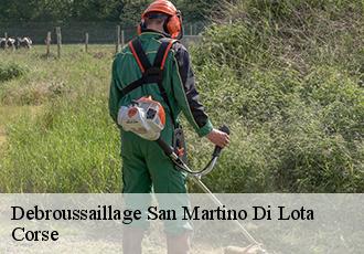 Debroussaillage san-martino-di-lota-20200 Corse