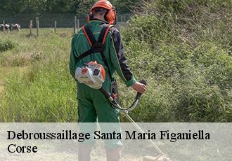 Debroussaillage santa-maria-figaniella-20143 Corse