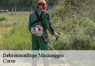 Debroussaillage macinaggio-20248 Corse