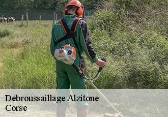 Debroussaillage alzitone-20240 Corse