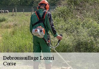 Debroussaillage  lozari-20226 Corse